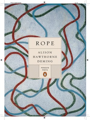 cover image of Rope